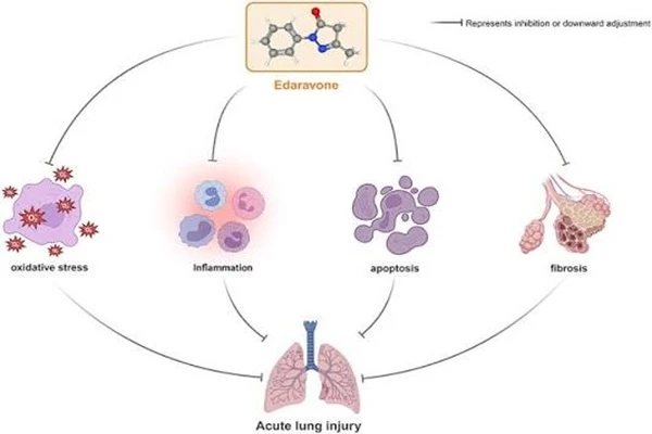 Edaravone API Powder