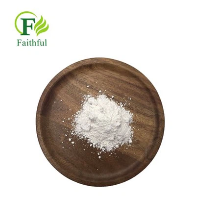 Protease Enzyme Powder CAS 9025-49-4